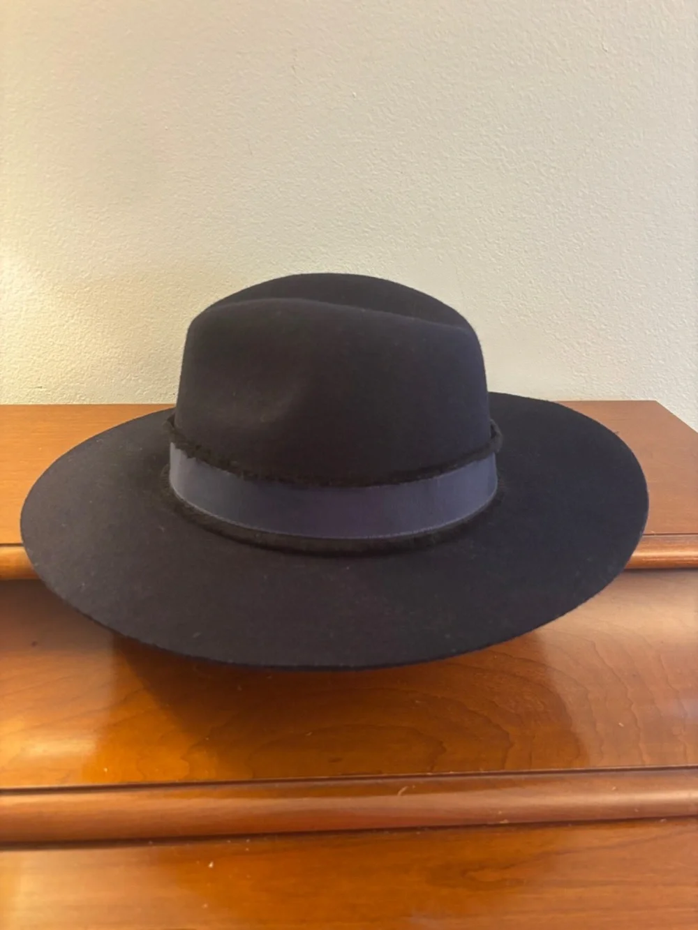 Banana Republic Frayed Ribbon Wool Fedora Hat